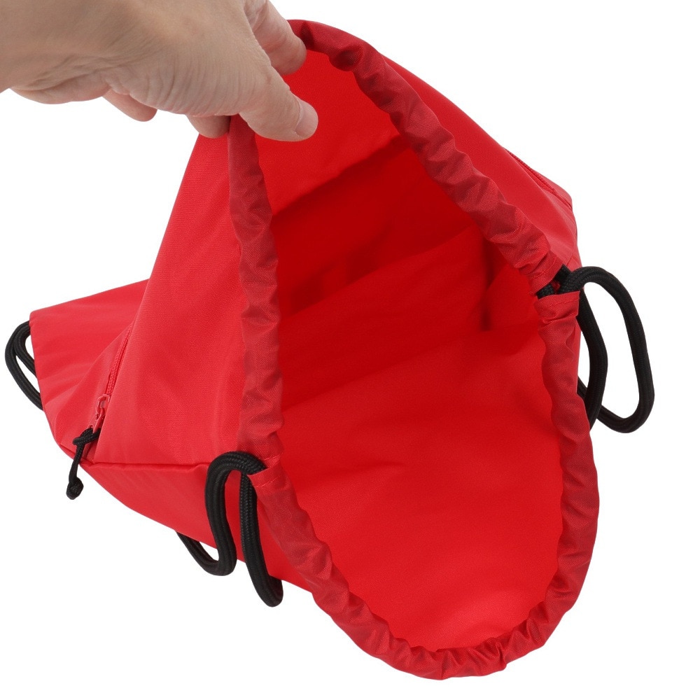 ウイルソン（Wilson）（メンズ、レディース、キッズ）ピックルボール ナップサック DRAW BAG WR8908101001