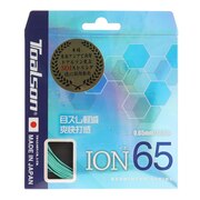 トアルソン（TOALSON）（メンズ、レディース、キッズ）バドミントン ストリング ION 65 841650G