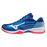ミズノ（MIZUNO）（メンズ、レディース）バドミントンシューズ ウエーブクロー2 SPECIAL EDITION 71GA211022