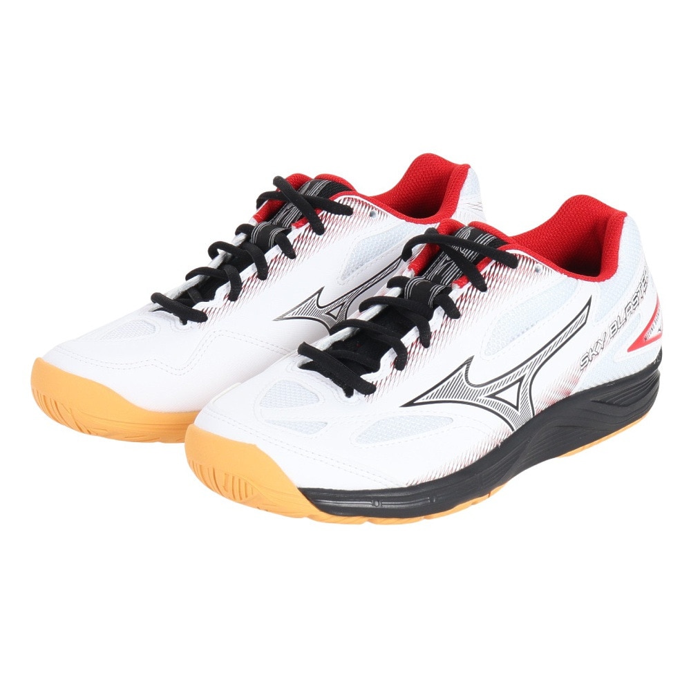 ミズノ（MIZUNO）（メンズ、レディース）バドミントンシューズ スカイブラスター 3 71GA234501