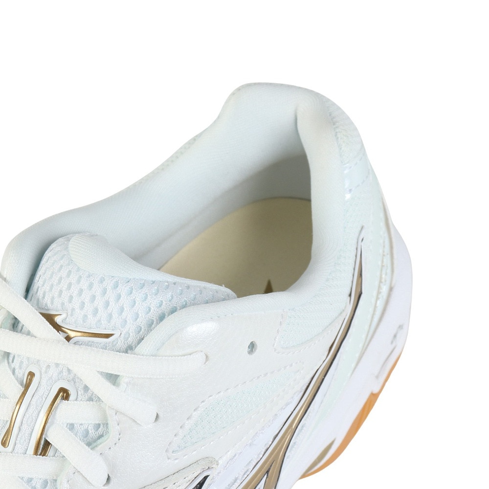 ミズノ（MIZUNO）（メンズ）バドミントンシューズ ウエーブファングPRO 71GA210050