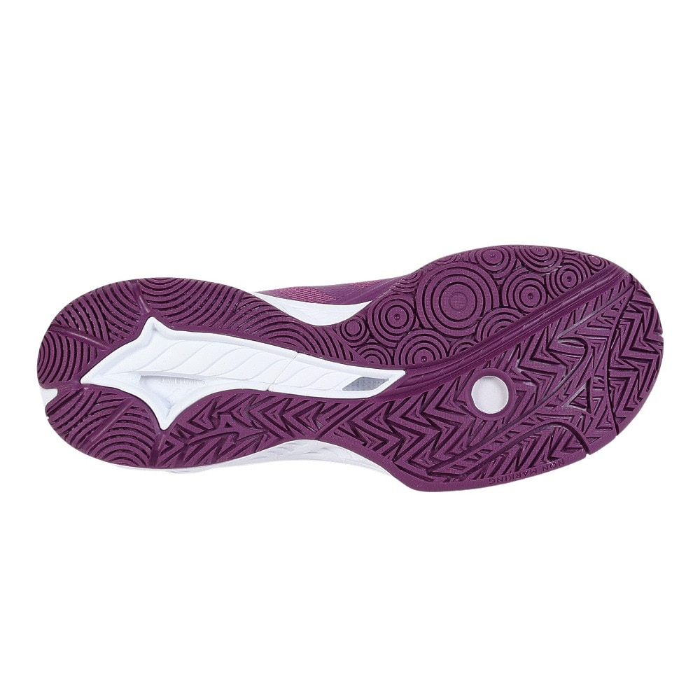 ミズノ（MIZUNO）（メンズ、レディース）バドミントンシューズ ウエーブファングEL2 71GA242303