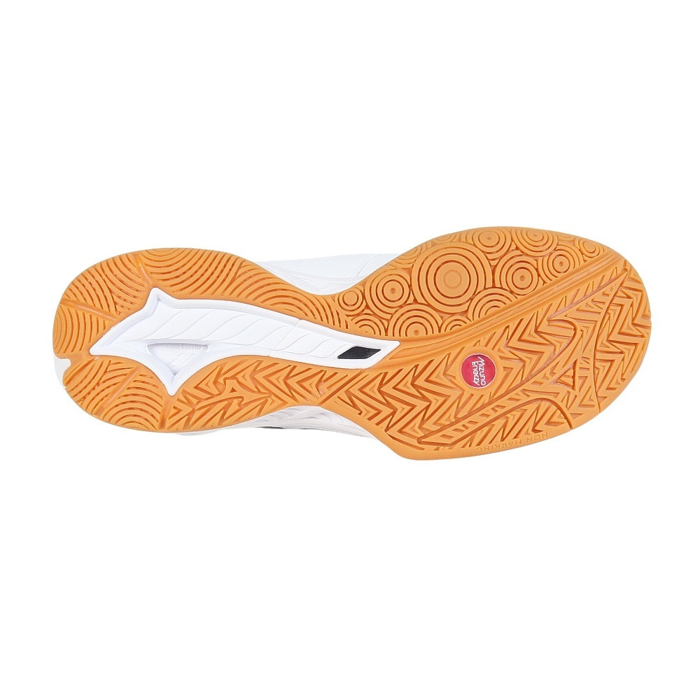ミズノ（MIZUNO）（メンズ、レディース）バドミントンシューズ WAVE FANG ST 71GA256301