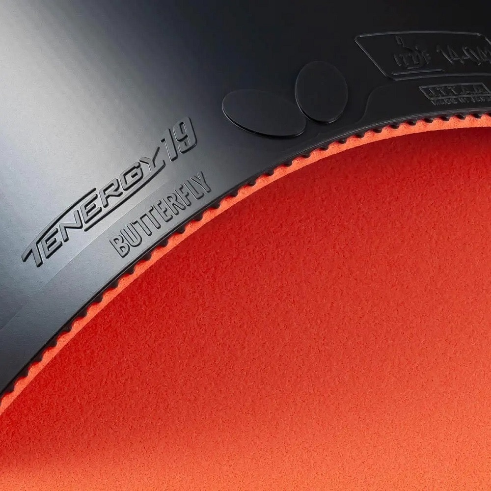 バタフライ（Butterfly）（メンズ、レディース、キッズ）卓球ラバー テナジー19 BLK 06090-278  スポーツ用品はスーパースポーツゼビオ