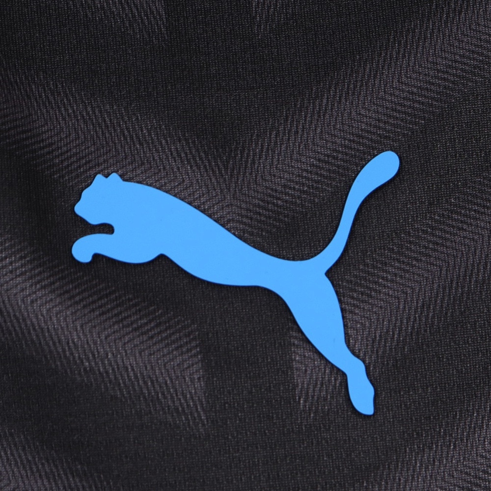 プーマ（PUMA）（メンズ）サッカーウェア INDIVICUP 半袖Tシャツ 66050507