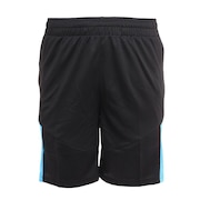 プーマ(PUMA)(メンズ、レディース)サッカーウェア INDIVIDUAL FINAL トレーニング ショーツ 65810746