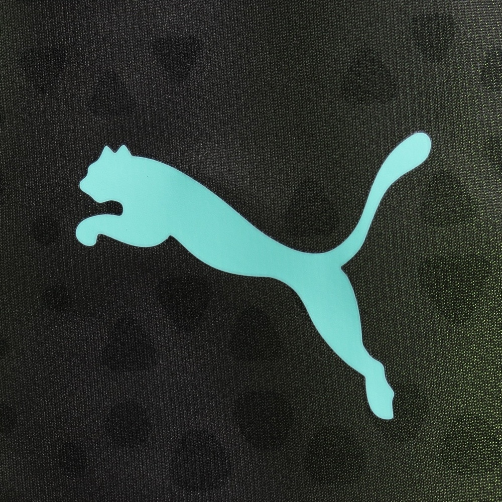 プーマ（PUMA）（メンズ）サッカーウェア INDIVIDUALCUP トレーニング ショーツ 65868151