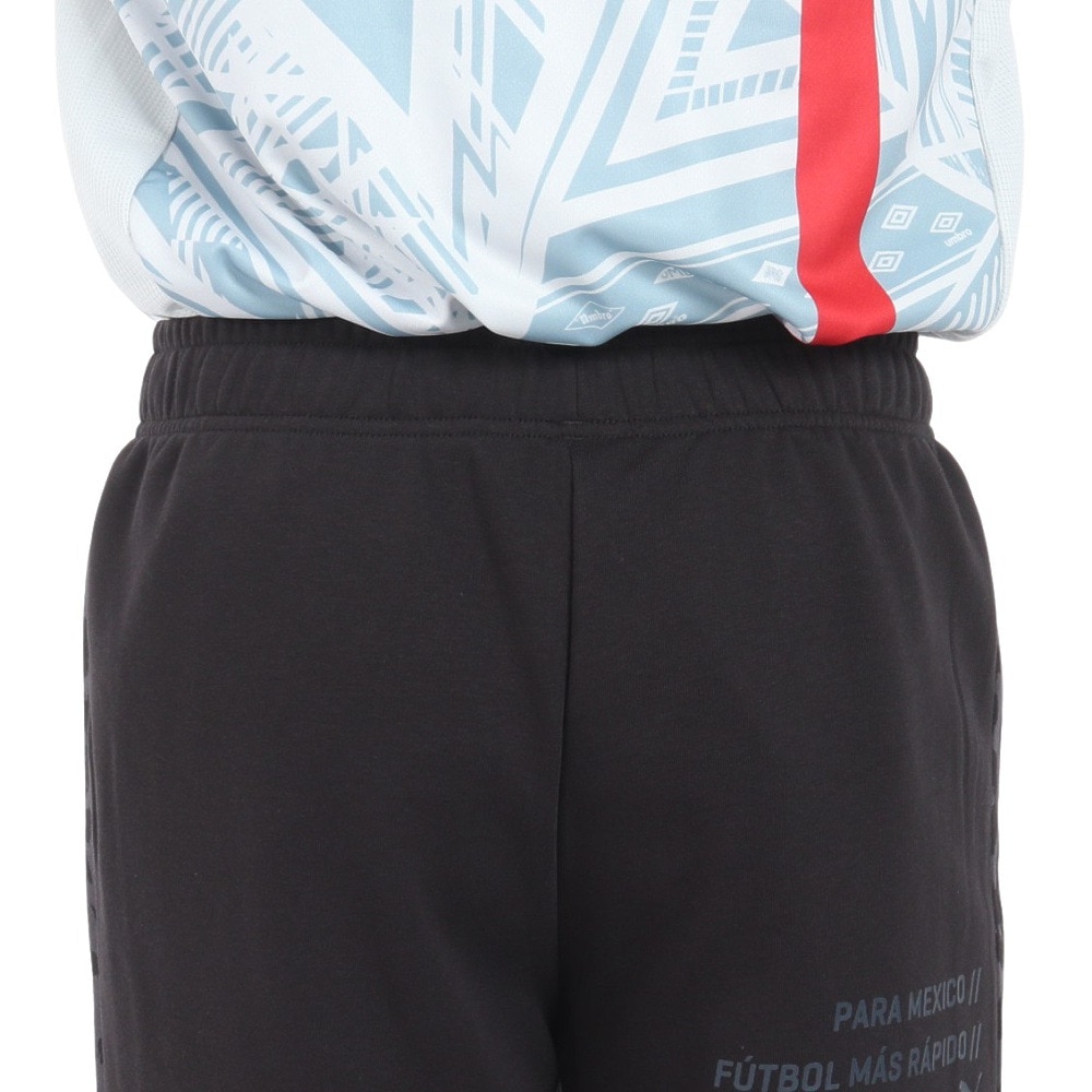 プーマ（PUMA）（メンズ）サッカーウェア パラメヒコ ショーツ 65960401