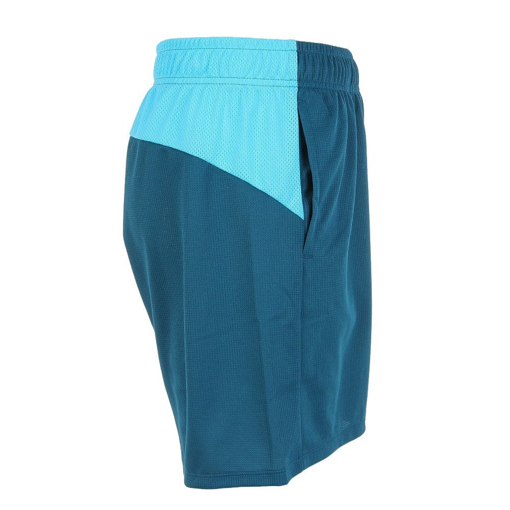 プーマ（PUMA）（メンズ）サッカーウェア INDIVIDUAL プーマフットボール プロ ニットショーツ 65913156 速乾