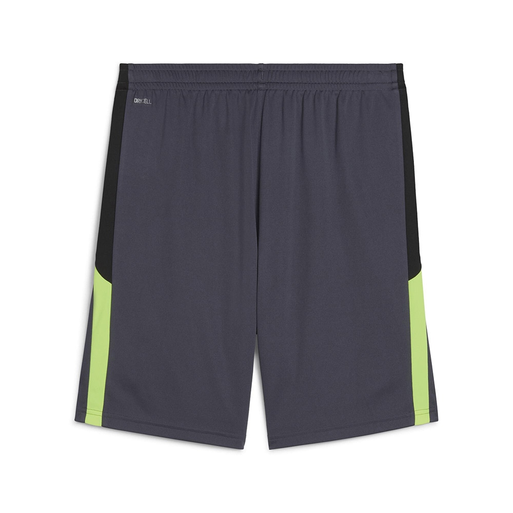 プーマ（PUMA）（メンズ）サッカーウェア INDIVIDUAL LIGA トレーニング ショーツ 65982808