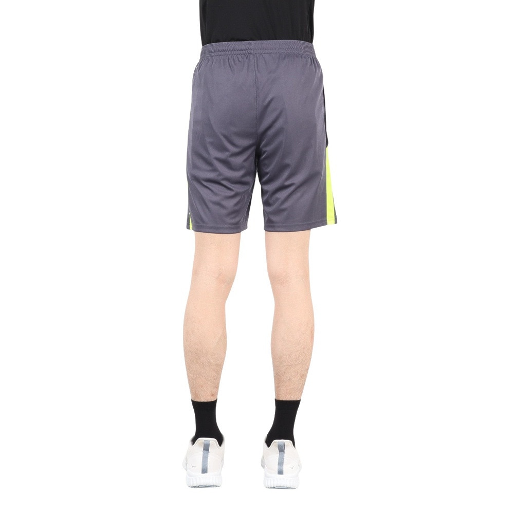 プーマ（PUMA）（メンズ）サッカーウェア INDIVIDUAL LIGA トレーニング ショーツ 65982808