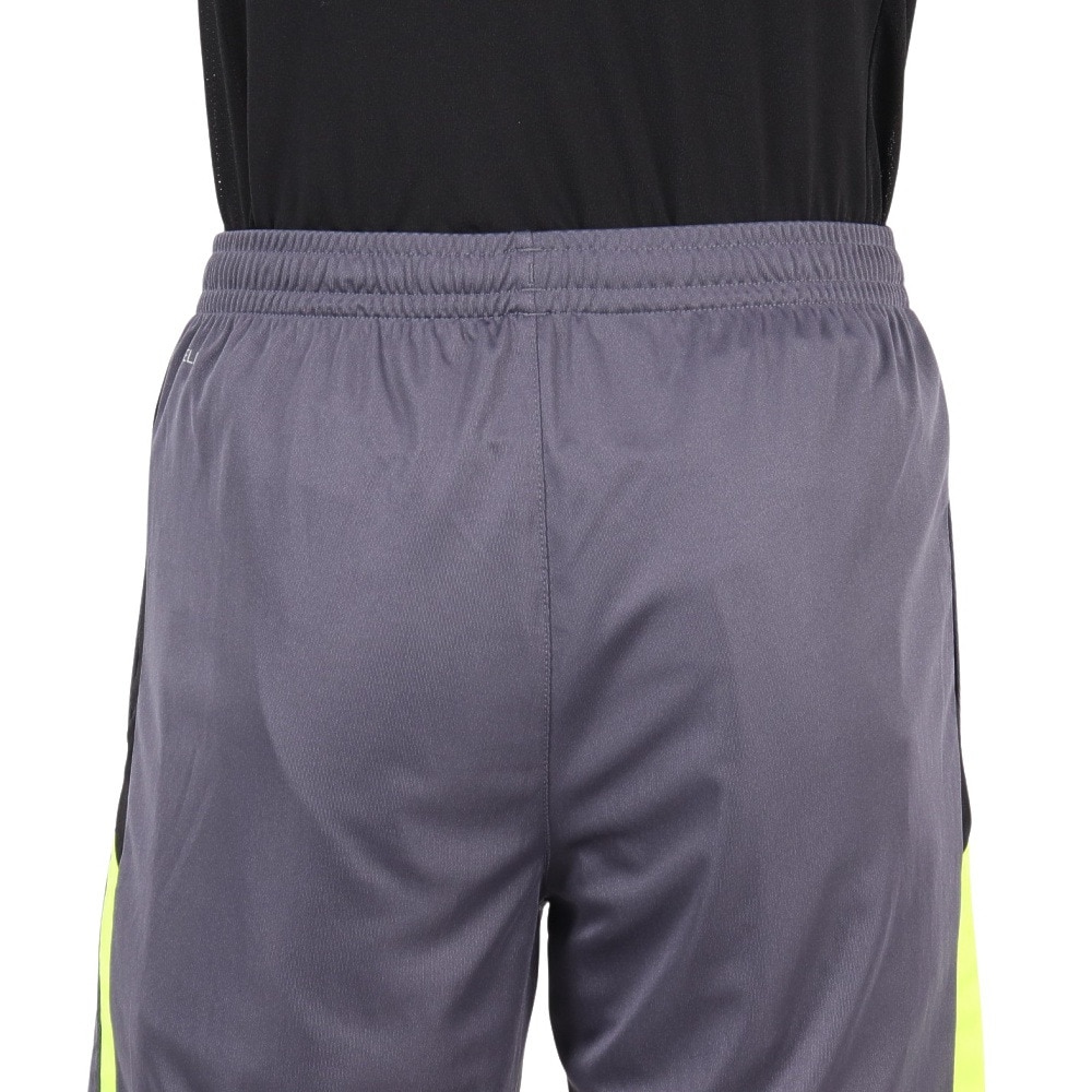 プーマ（PUMA）（メンズ）サッカーウェア INDIVIDUAL LIGA トレーニング ショーツ 65982808