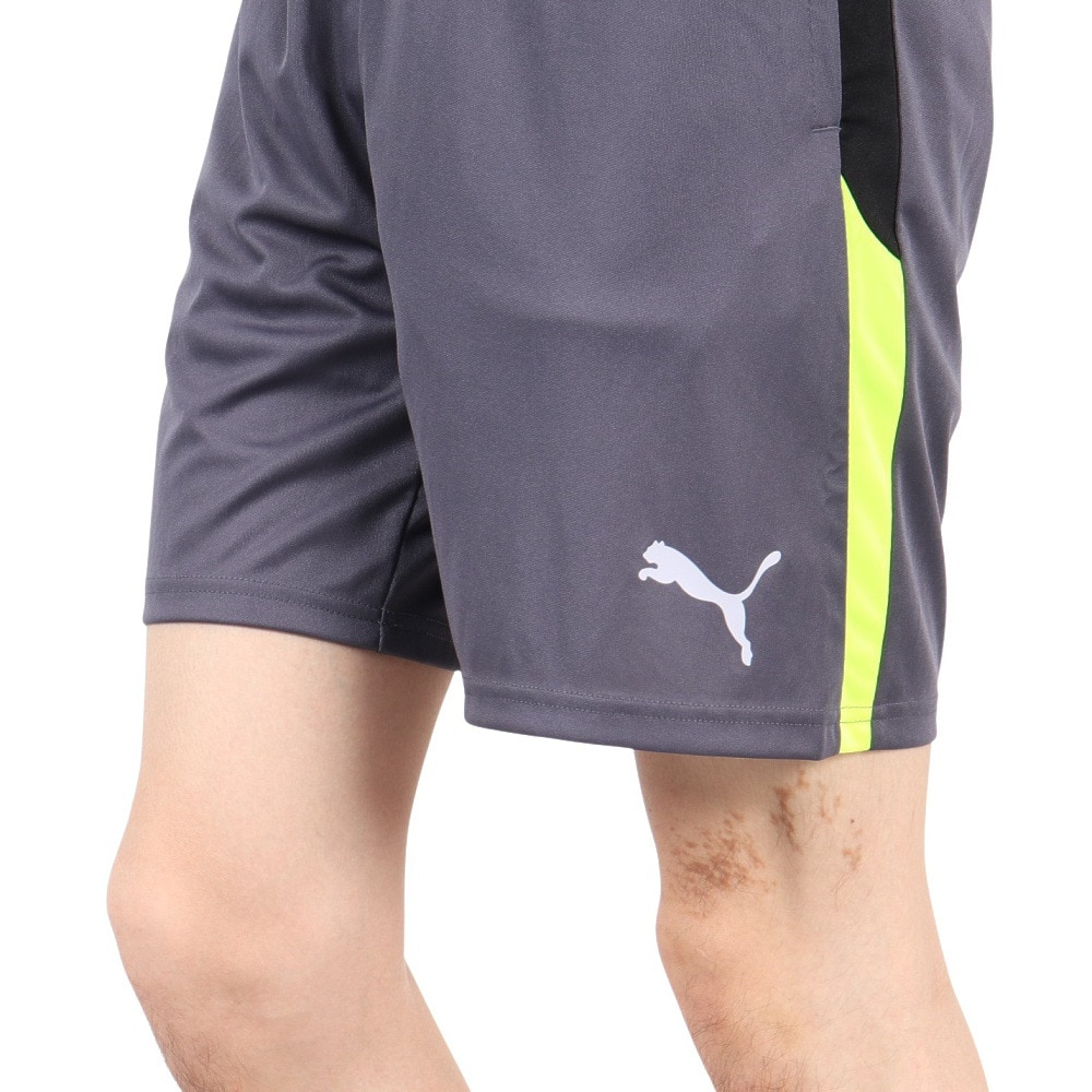 プーマ（PUMA）（メンズ）サッカーウェア INDIVIDUAL LIGA トレーニング ショーツ 65982808