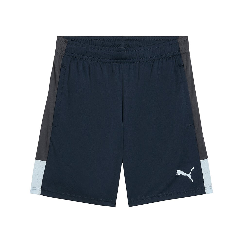 プーマ（PUMA）（メンズ）サッカーウェア INDIVILIGA TR ショーツ