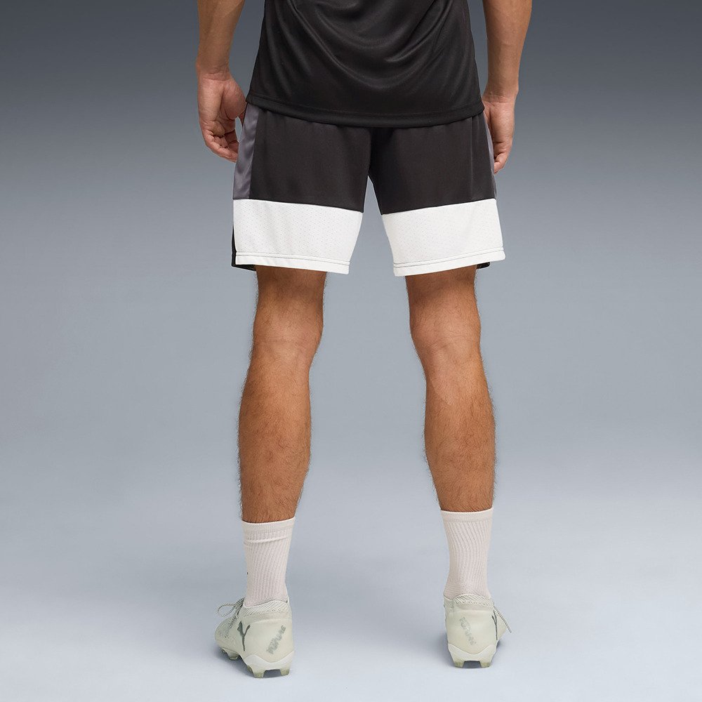 プーマ（PUMA）（メンズ）サッカーウェア INDIVILIGA TR ショート