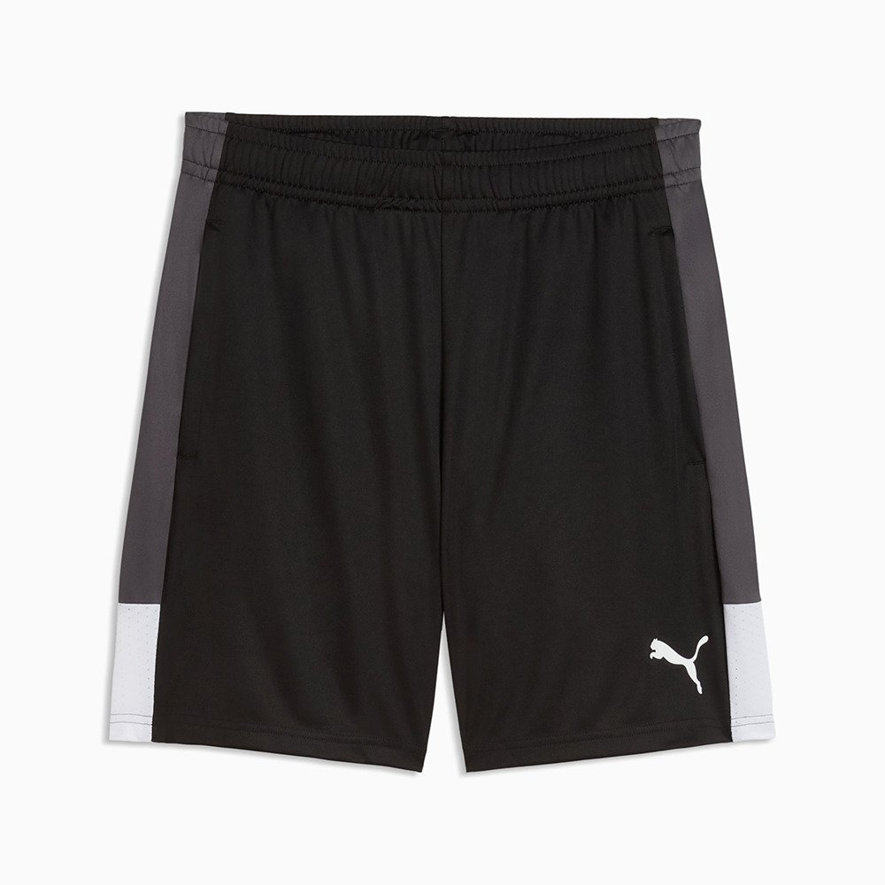 プーマ（PUMA）（メンズ）サッカーウェア INDIVILIGA TR ショート