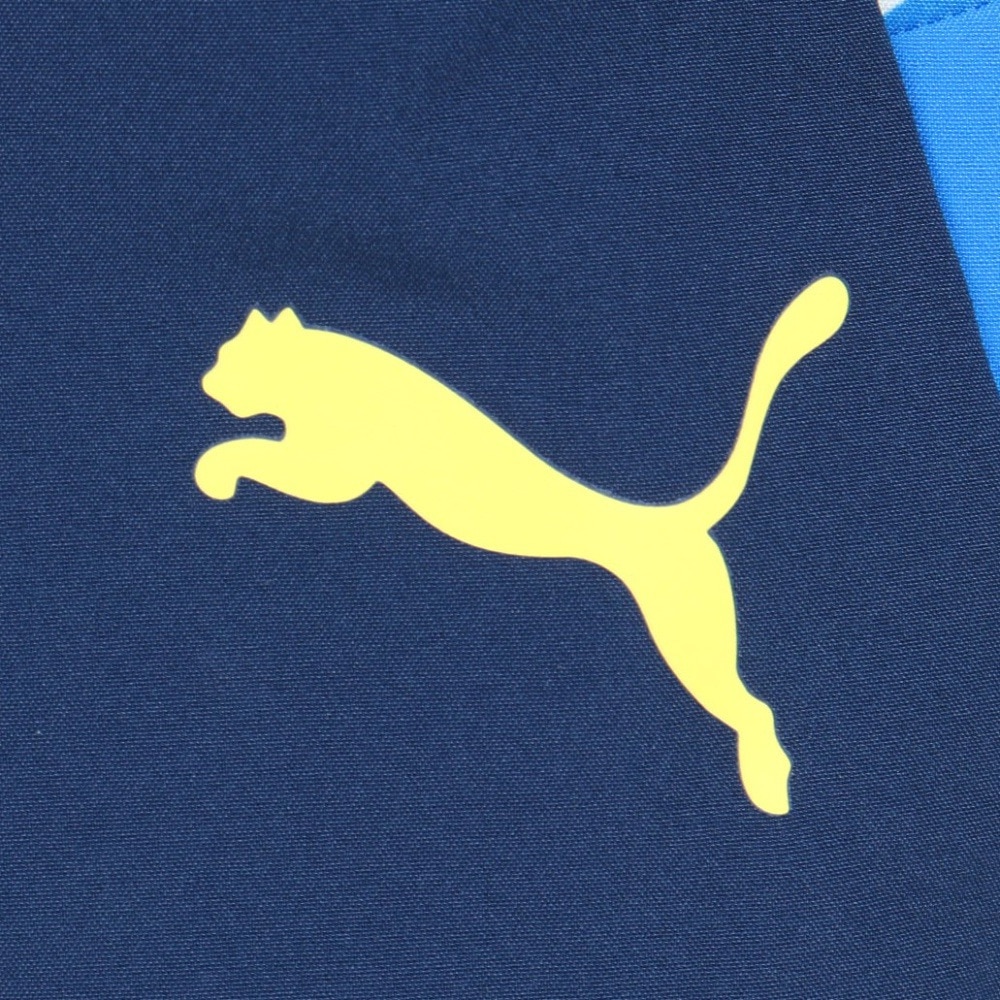 プーマ（PUMA）（メンズ、レディース）サッカーウェア NJR INS. ウーブンパンツ 65850701