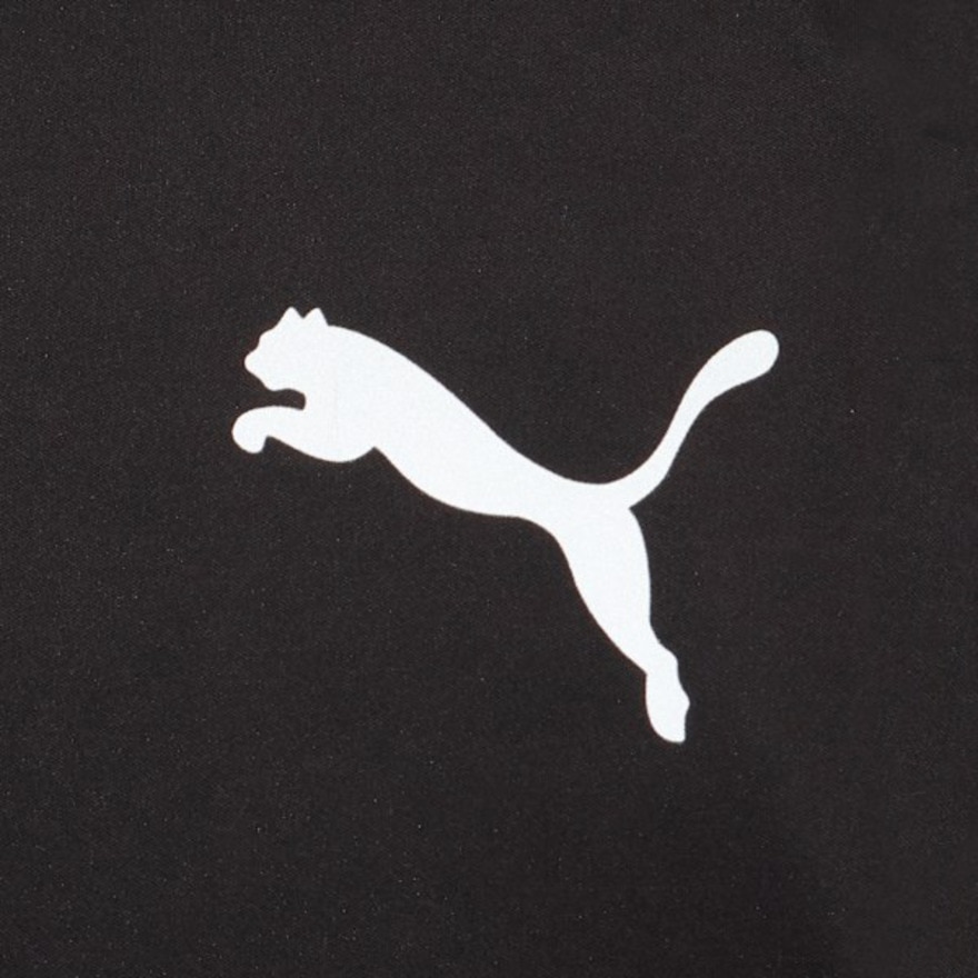 プーマ（PUMA）（メンズ）サッカーウェア INDIVIDUAL WINTERIZED 防風 パンツ 66038603