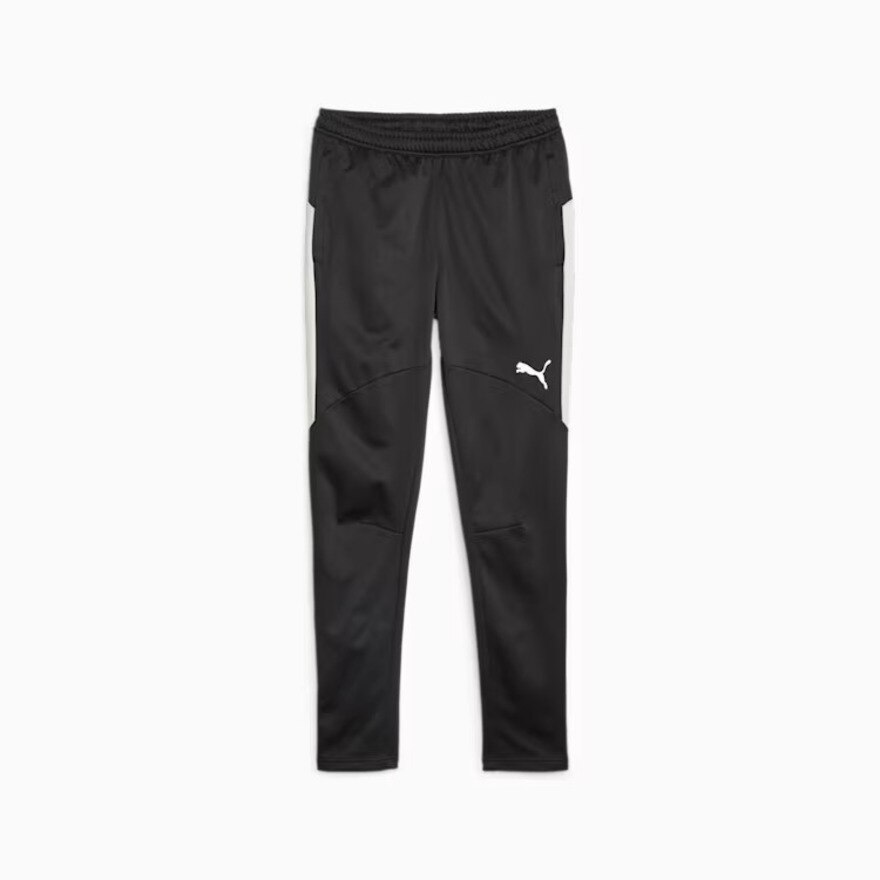 プーマ（PUMA）（メンズ）サッカーウェア INDIVIDUAL ウィンターライズ パンツ 65888703