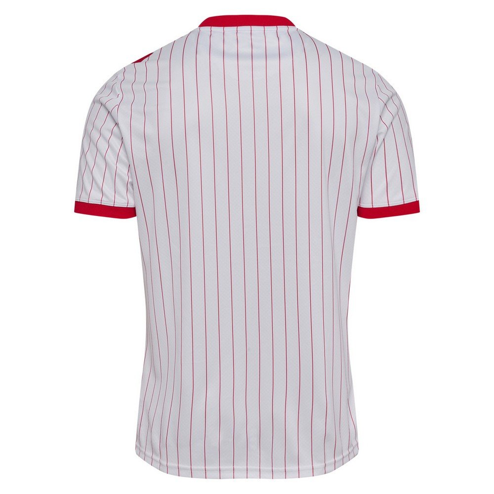 ヒュンメル（hummel）（メンズ、レディース）デンマーク代表 DBU 26