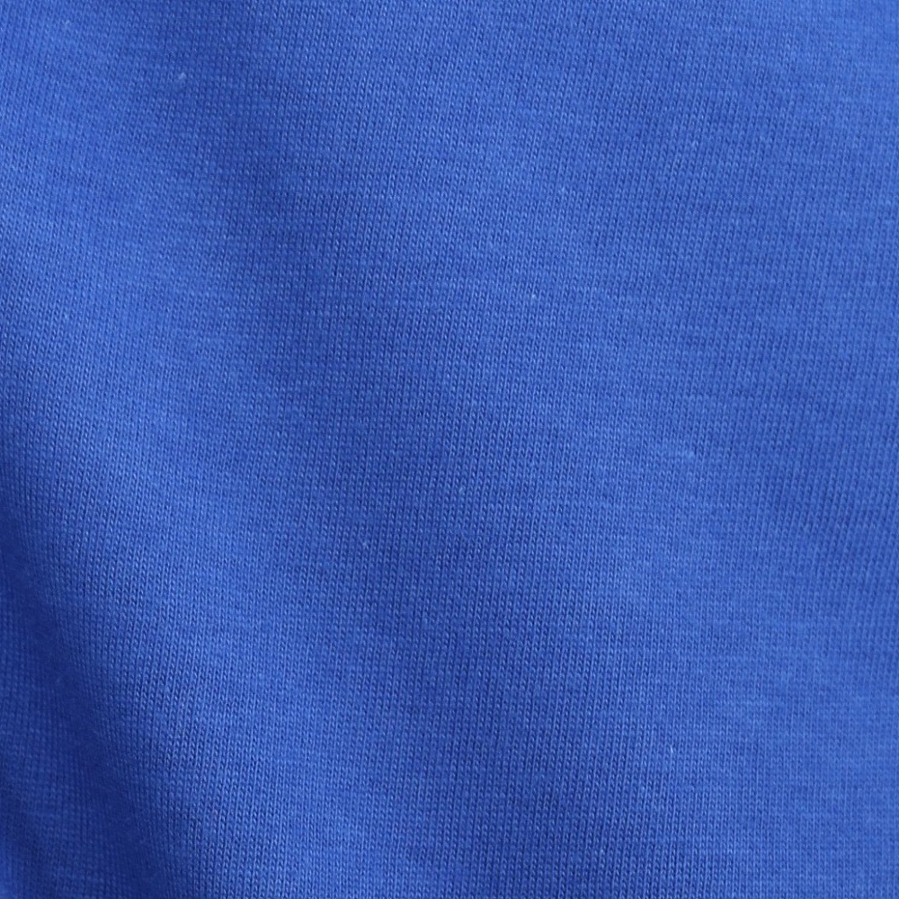 ナイキ（NIKE）（メンズ）チェルシーFC クレスト 半袖 Tシャツ HQ8395-495