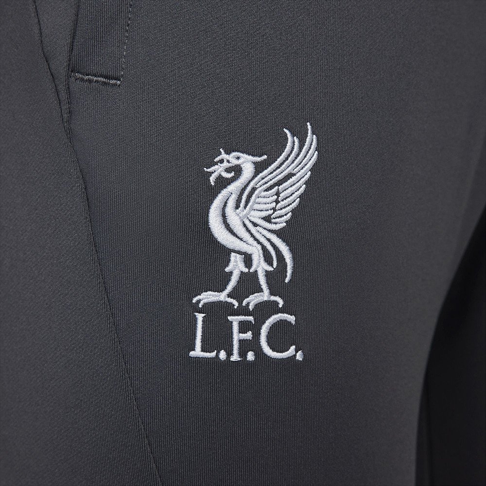 ナイキ（NIKE）（メンズ）Liverpool FC Strike ドライフィット サッカーパンツ FD7104-060 速乾