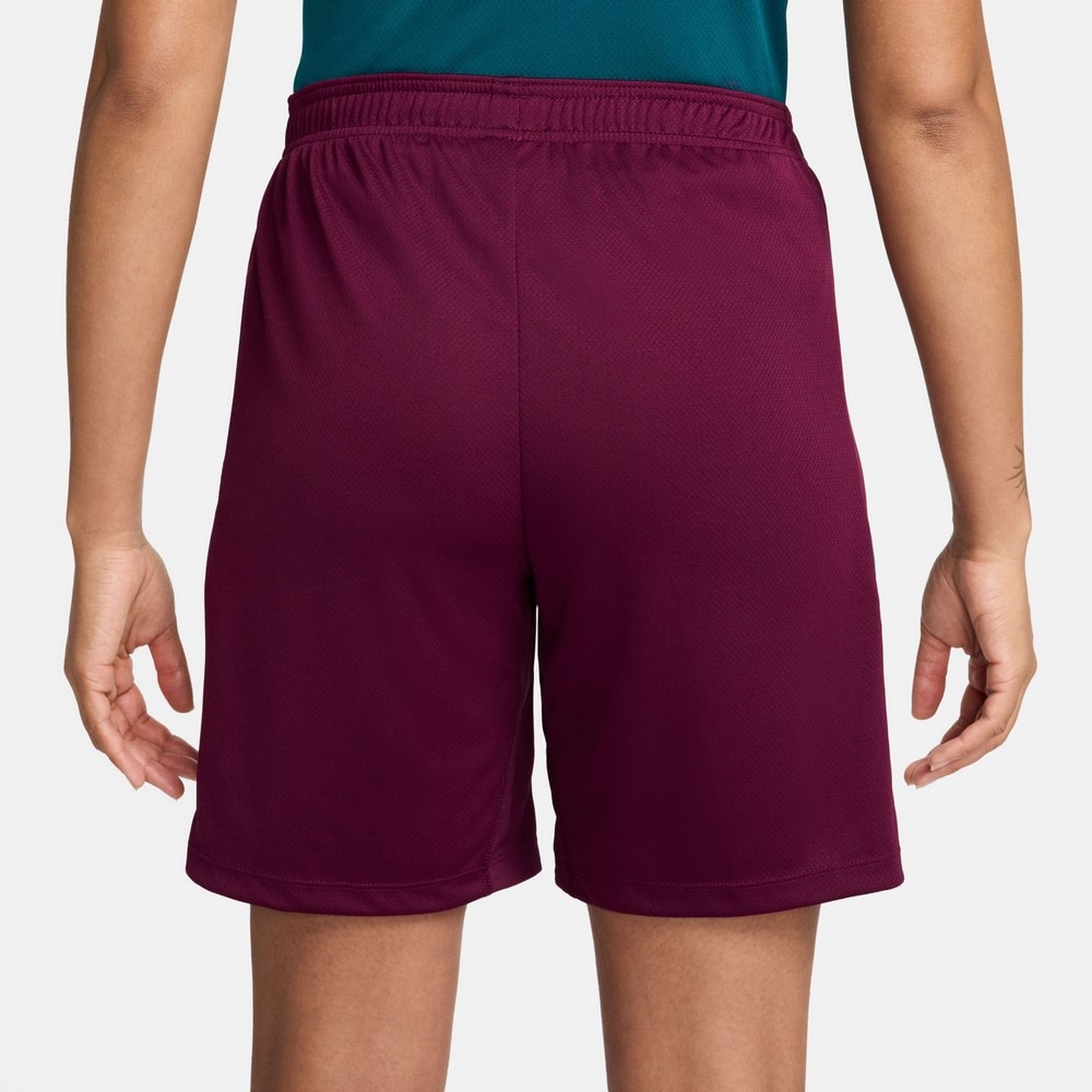 ナイキ（NIKE）（メンズ）パリ・サンジェルマン ドライフィット ストライク ニットショーツ FN9394-610