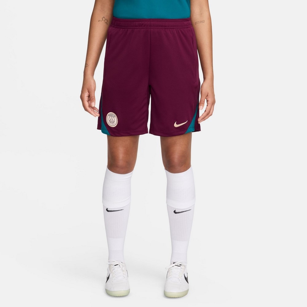 ナイキ（NIKE）（メンズ）パリ・サンジェルマン ドライフィット ストライク ニットショーツ FN9394-610