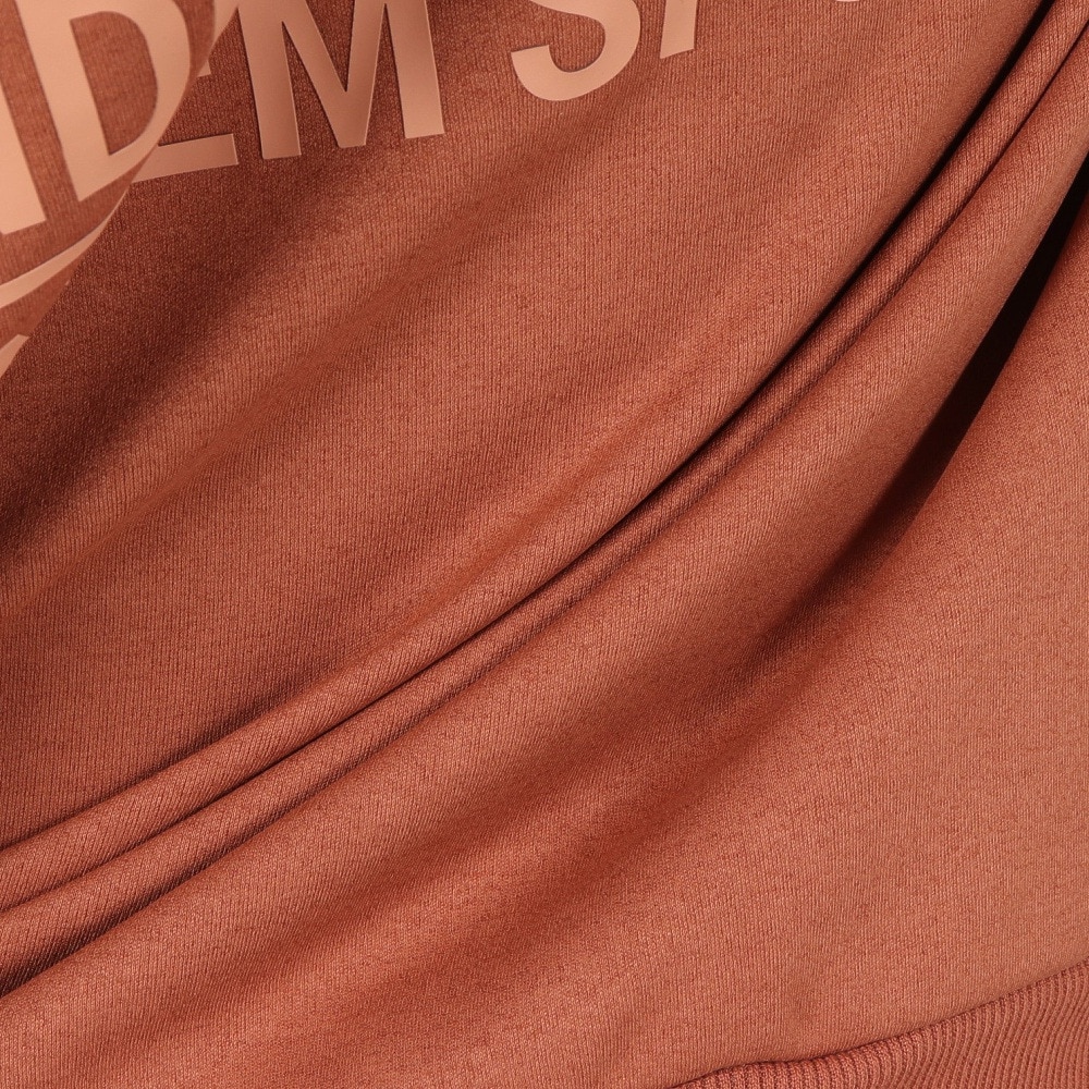 ヒュンメル（hummel）（メンズ、レディース）hummel PLAY スウェットプルオーバーフーディー HAP8288-229
