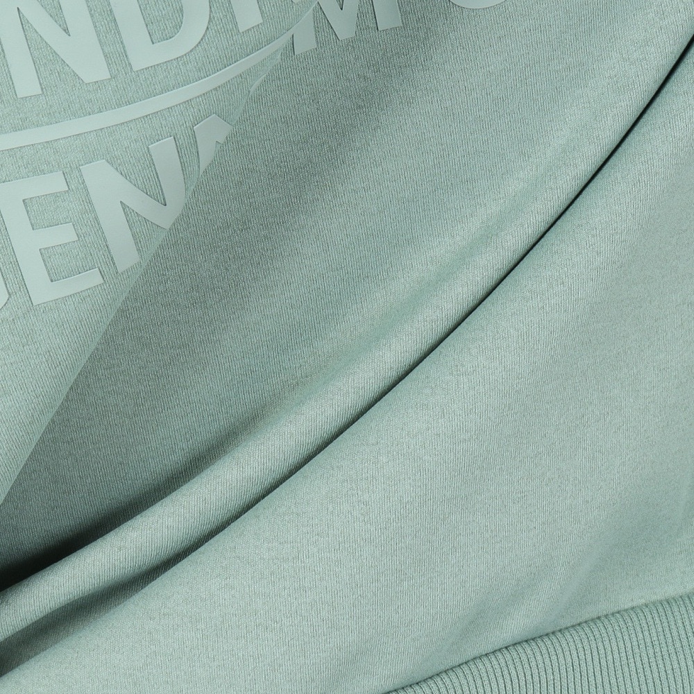 ヒュンメル（hummel）（メンズ、レディース）hummel PLAY スウェットプルオーバーフーディー HAP8288-542