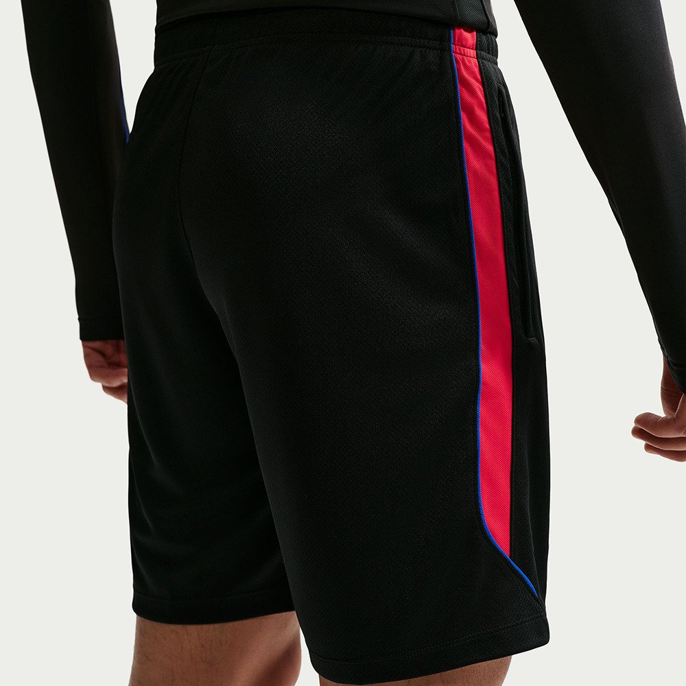 ナイキ（NIKE）（メンズ）PSG パリサンジェルマン ドライフィット