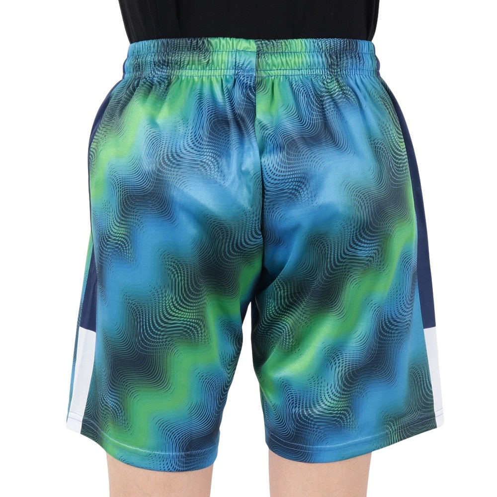 ダウポンチ（DalPonte）（メンズ）サッカー フットサルウェア RX 昇華プラクティスパンツ DPZRX209-NAVY