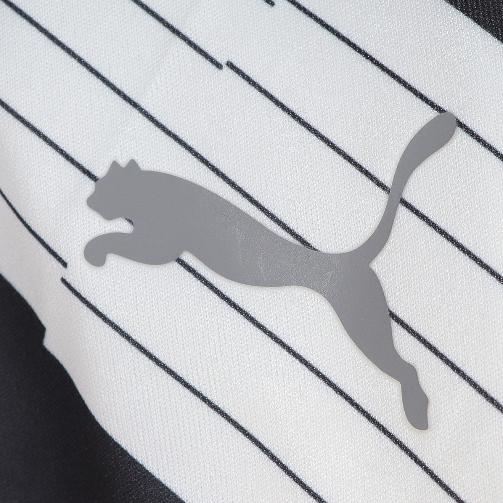 プーマ（PUMA）（キッズ）サッカーウェア ジュニア TEAMLIGAGSS 半袖Tシャツ 65809203