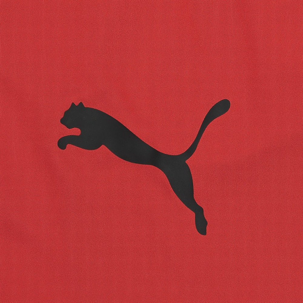 プーマ（PUMA）（キッズ）サッカーウェア ジュニア INDIVILIGA