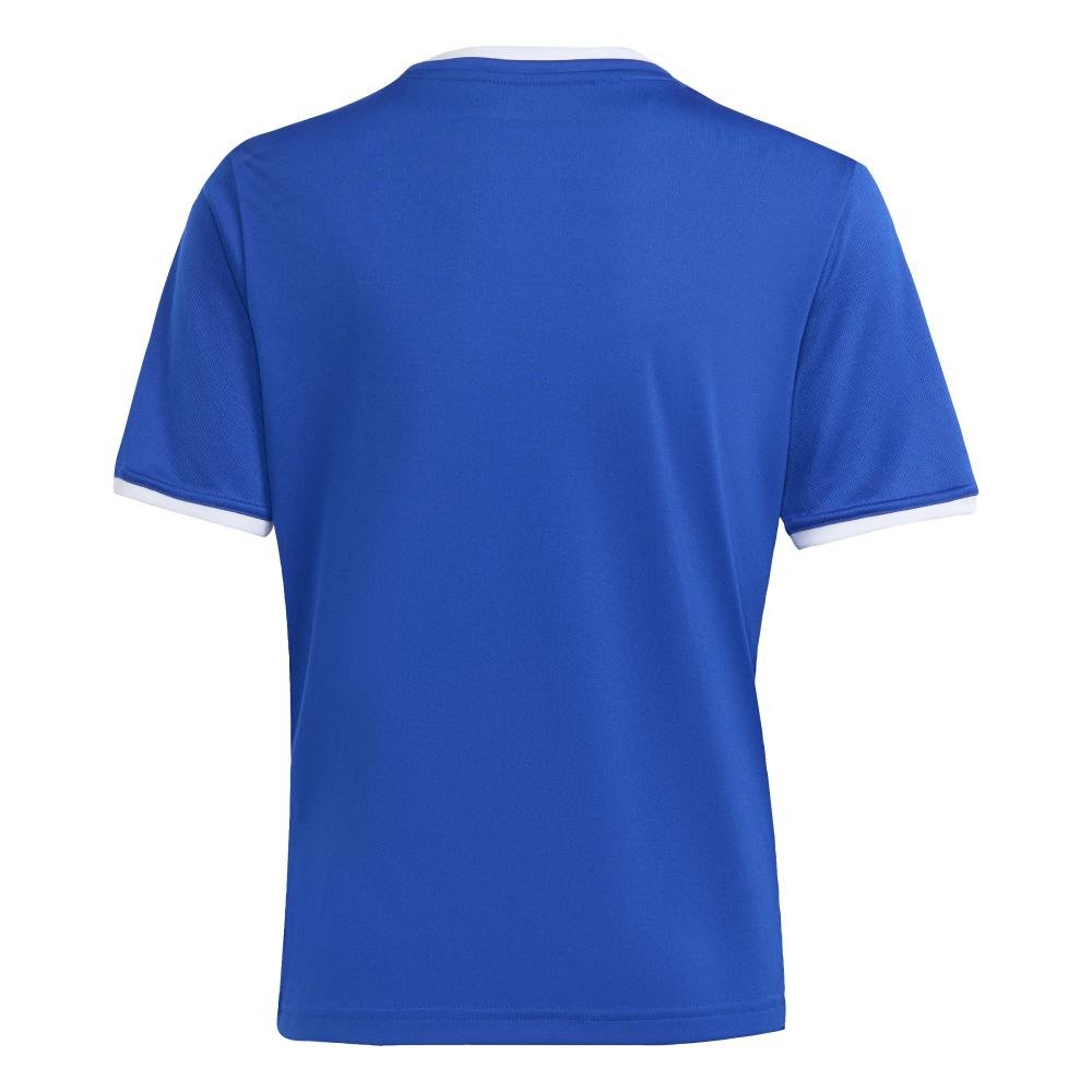 アディダス（adidas）（キッズ）サッカーウェア ジュニア エントラーダ 26 ジャージ CQ691-JZ2531