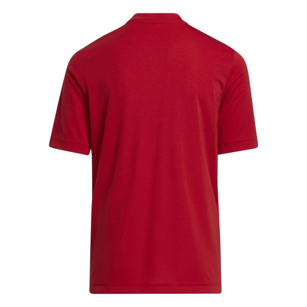アディダス（キッズ）サッカーウェア ジュニア Tシャツ Entrada 22 グラフィック ジャージー QU576-H58983