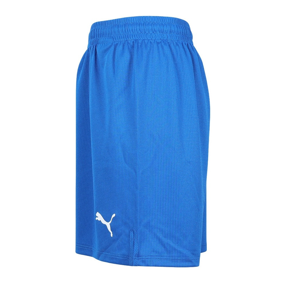 プーマ(PUMA)(キッズ)ジュニア サッカーウェア LIGA ゲーム プーマ(PUMA)(キッズ)ジュニア サッカーウェア LIGA ゲーム