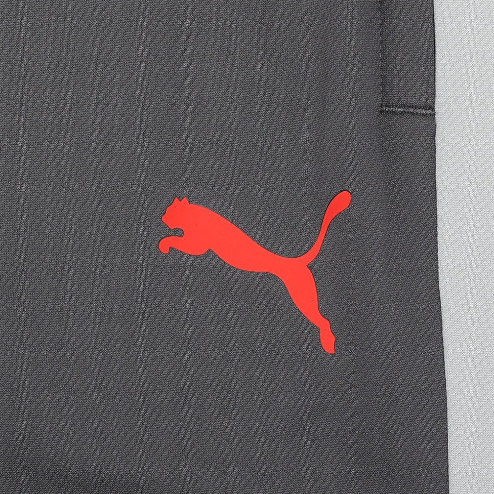 プーマ（PUMA）（キッズ）サッカーウェア ジュニア INDIVILIGA トレーニング パンツ 66096901