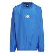 アディダス(キッズ)サッカーウェア エッセンシャルズ ウインドレディ ロゴ ウーブンスウェット IKS32-IK4653