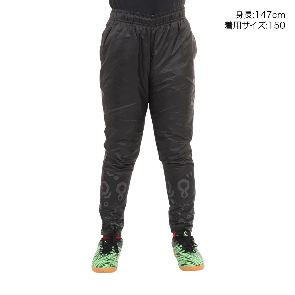 プーマ（PUMA）（キッズ）ジュニア サッカーウェア トレーニング INDIVIDUAL ウラトリコット ピステパンツ 65882201