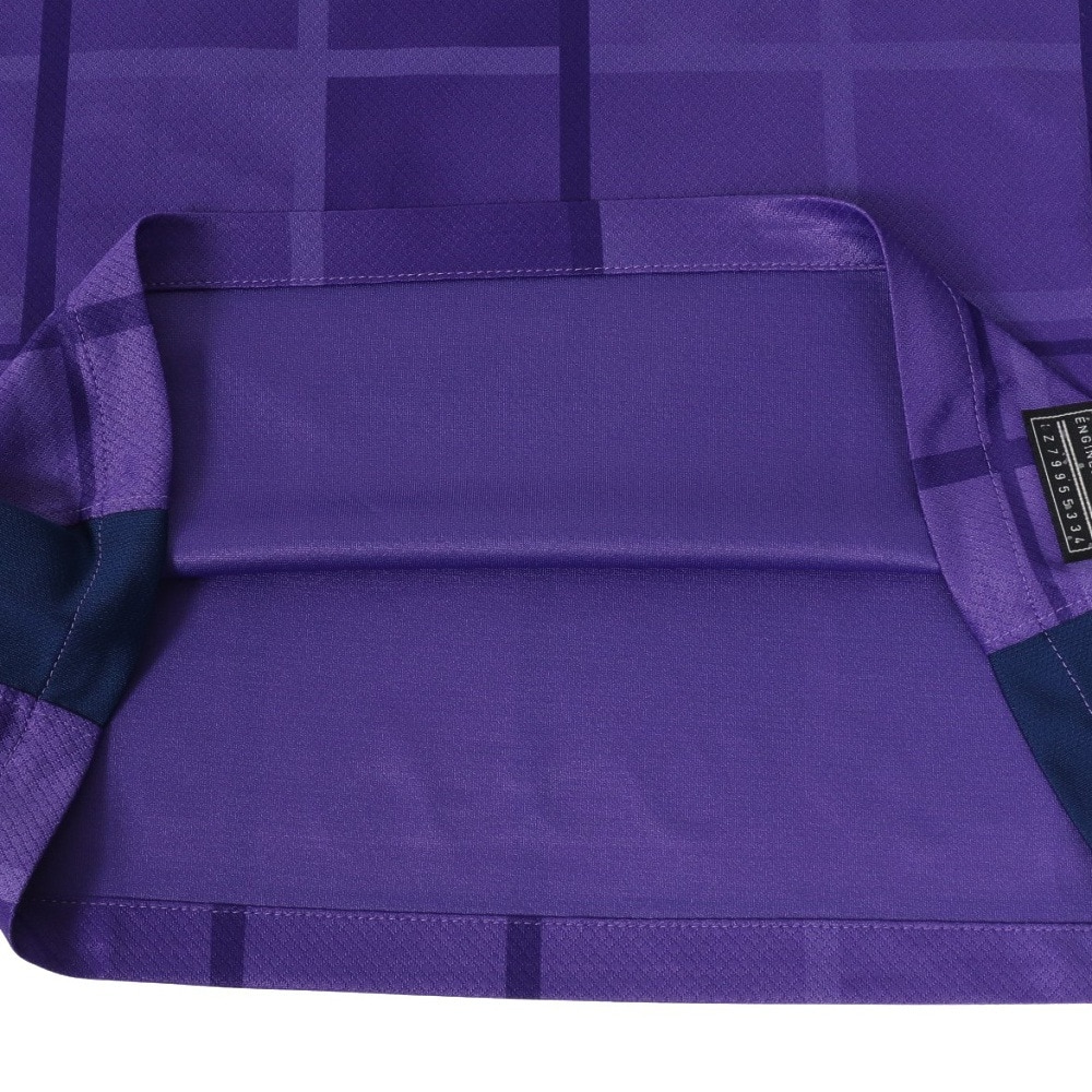 ナイキ（NIKE）（キッズ）ジュニア レプリカシャツ サンフレッチェ広島 2025 ユニフォーム ホーム HJ1279-545