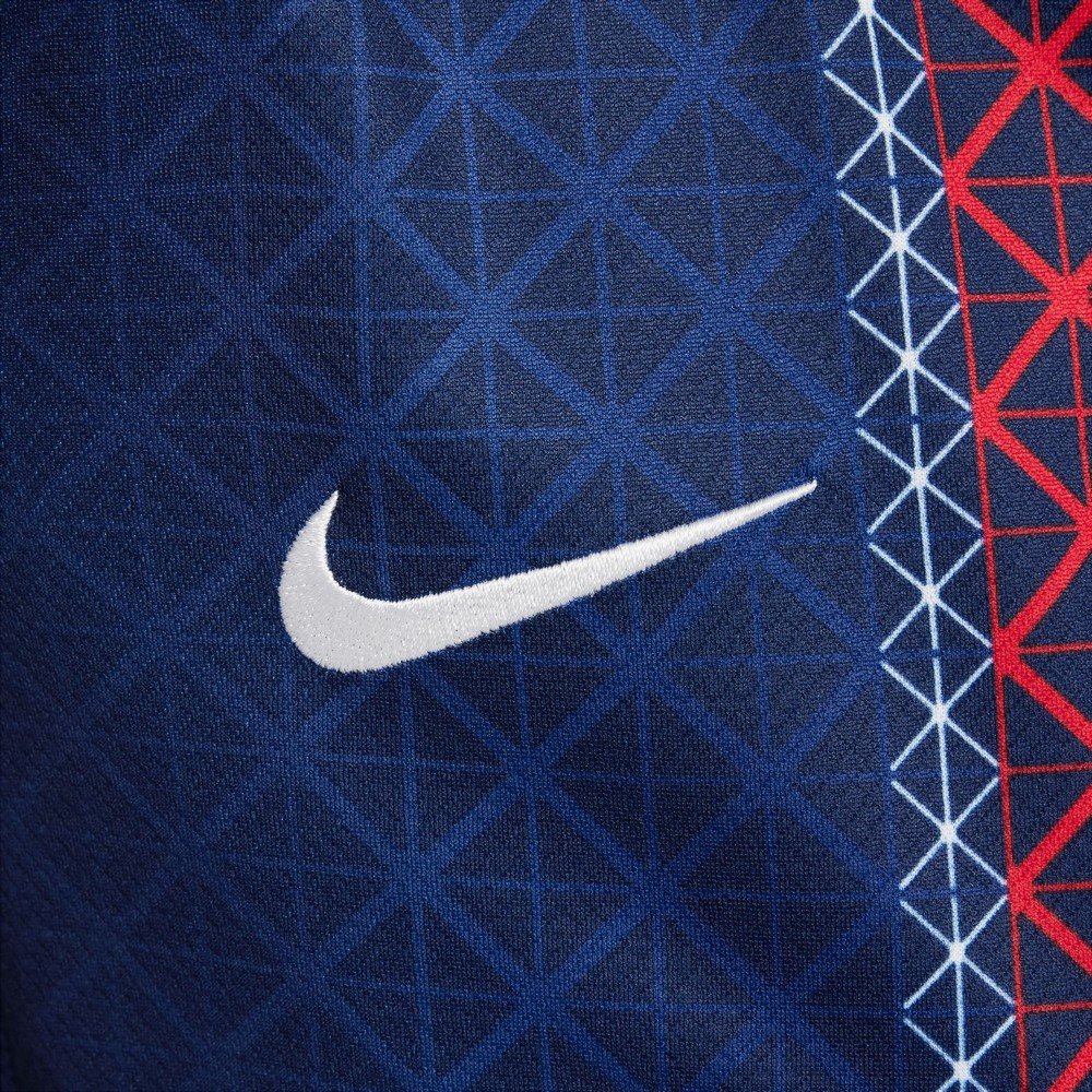 ナイキ（NIKE）（キッズ）ジュニア ユース パリ サンジェルマン ドライ