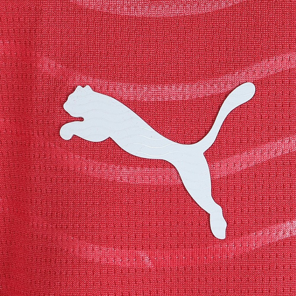 プーマ（PUMA）（キッズ）ジュニア F.P.F ホーム レプリカユニフォーム