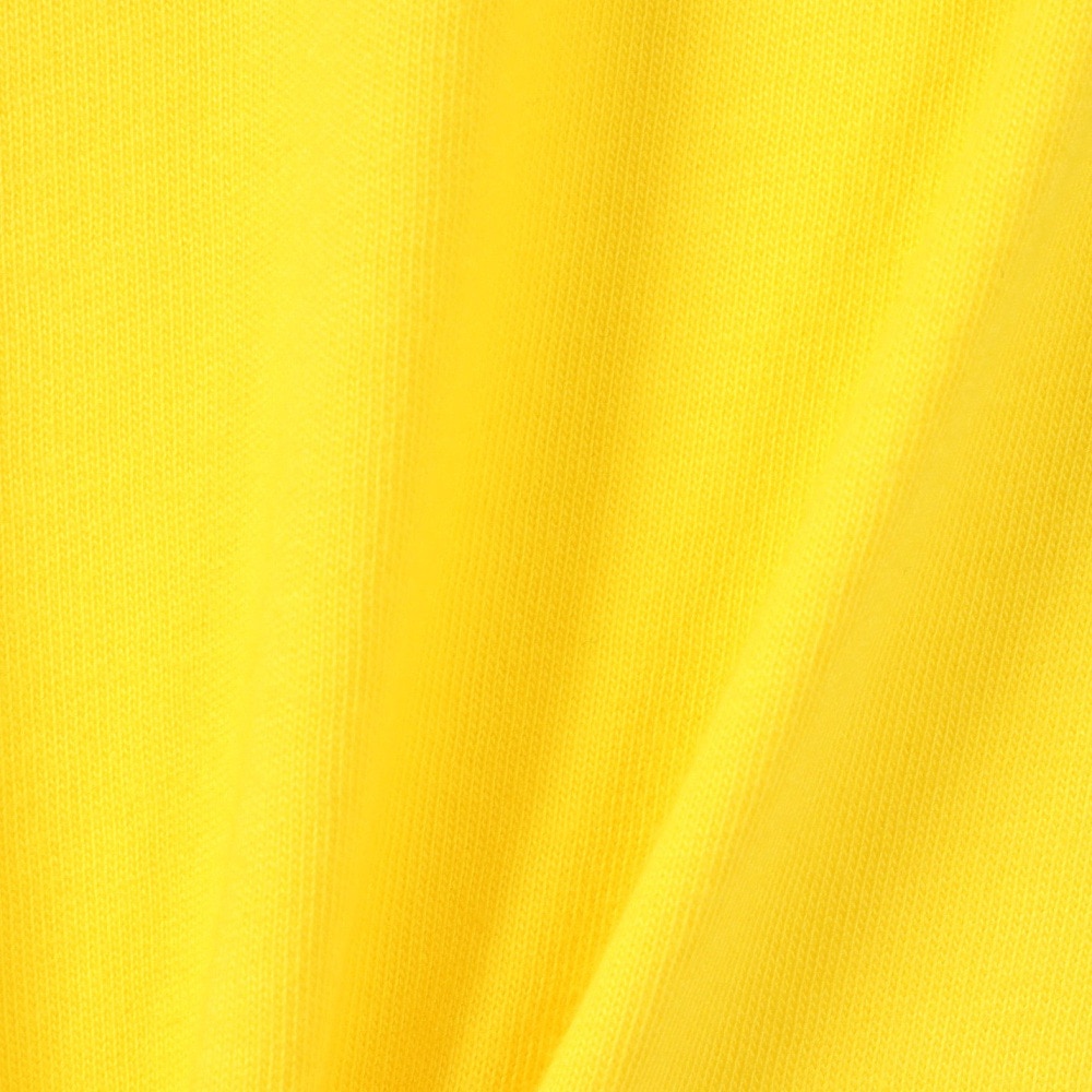 プーマ（PUMA）（キッズ）【新商品】ジュニア BVB ドルトムント FTBLARCHIVE 半袖Tシャツ 77911101