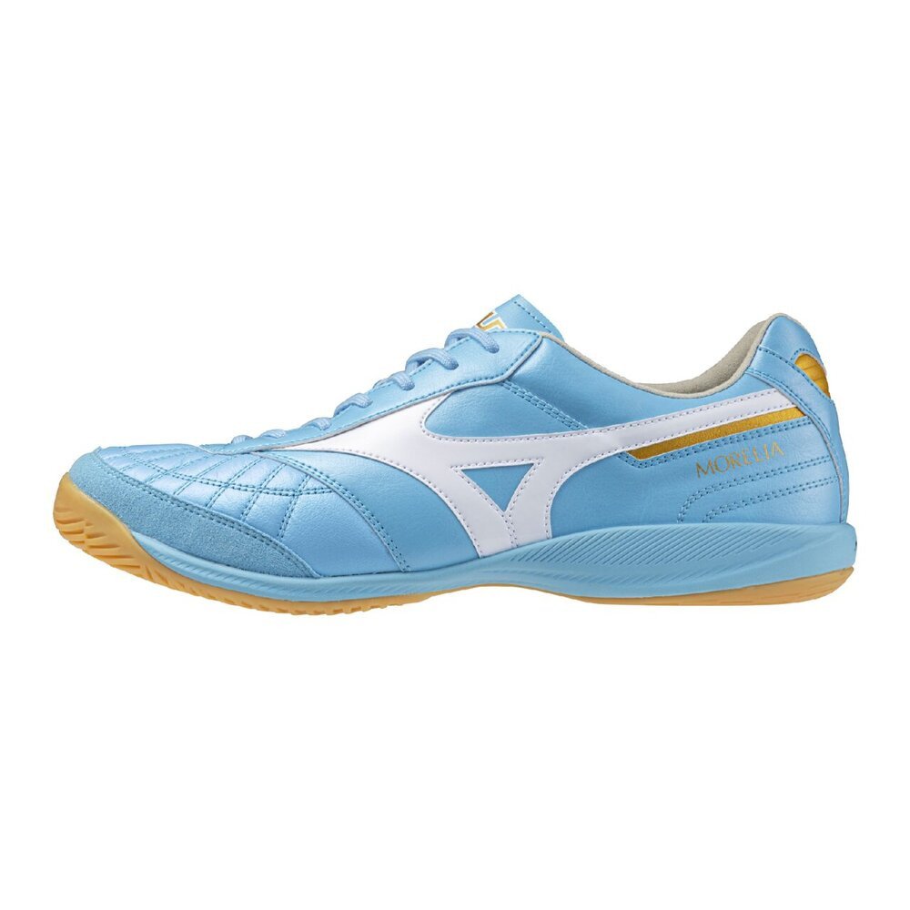 ミズノ（MIZUNO）（メンズ、レディース）サッカーインドアトレーニング