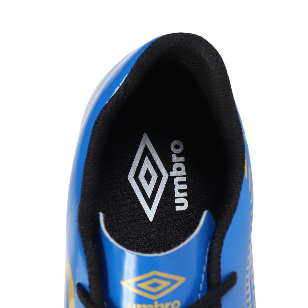アンブロ（UMBRO）（キッズ）ジュニアサッカートレーニングシューズ エバーブルー V TR JR ワイド UF5SFCX3JB BLGD