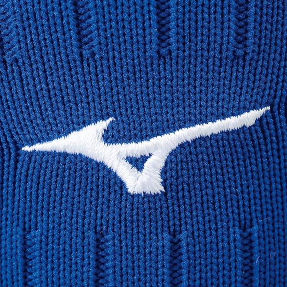 ミズノ（MIZUNO）（メンズ）サッカー ソックス T TM 無地 ストッキング P2MX806025 靴下
