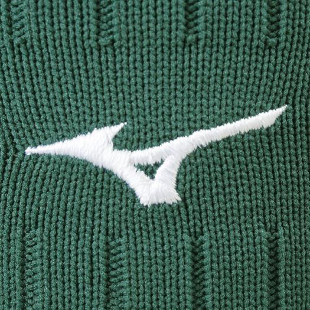 ミズノ（MIZUNO）（メンズ、レディース）サッカー ソックス ストッキング (23-25cm) [ユニセックス] P2MX806233 靴下
