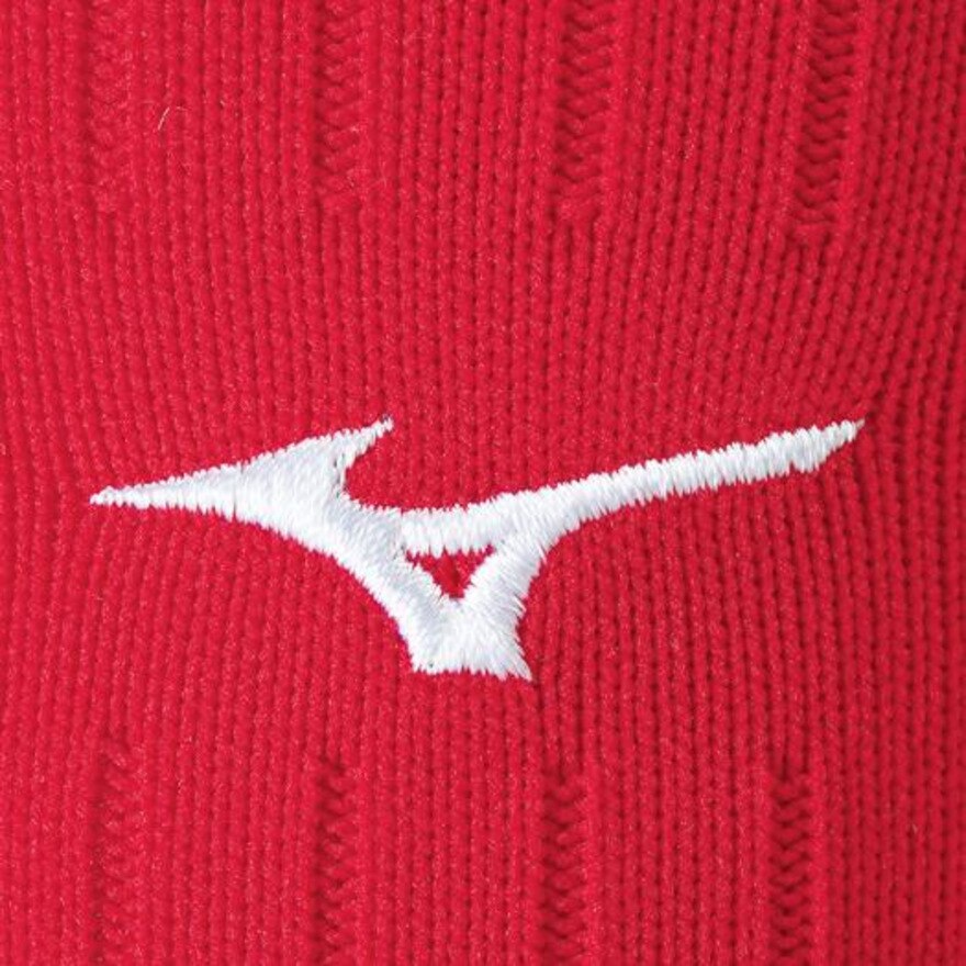 ミズノ（MIZUNO）（メンズ、レディース、キッズ）サッカー ソックス 無地 ストッキング 23-25cm P2MX806262 靴下
