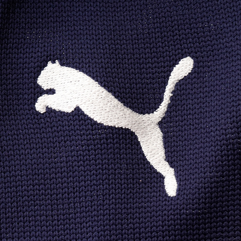 プーマ（PUMA）（メンズ）サッカー ソックス LIGA ストッキング 72987906 靴下